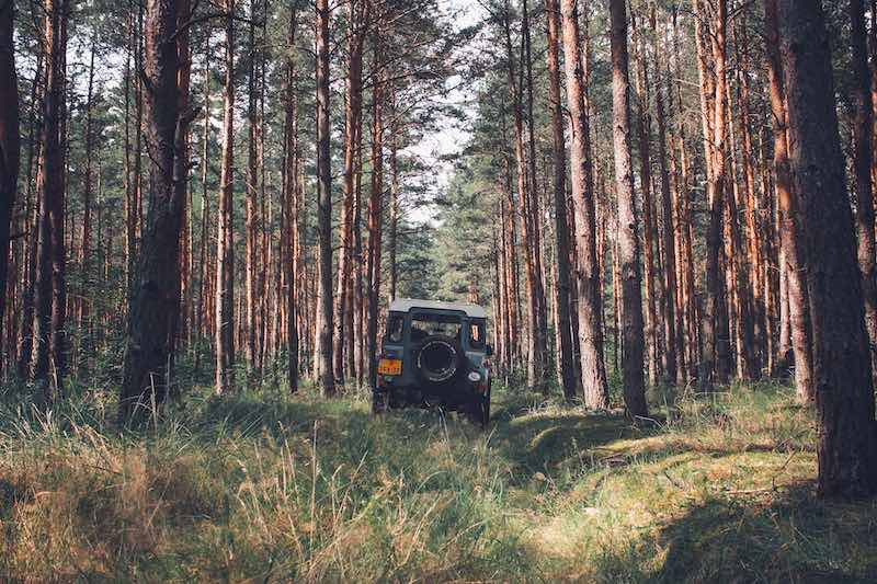 Auto terenowe w lesie